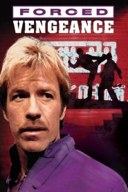 L&rsquo;Executeur de Hong-Kong