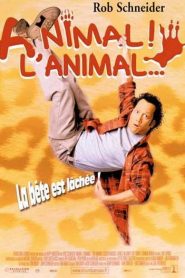 Animal ! L&rsquo;animal