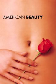 American Beauty
