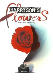 Harrison&rsquo;s Flowers