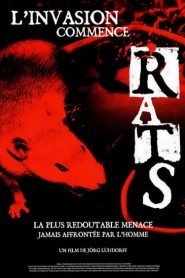 Rats, l&rsquo;invasion commence