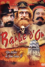 Barbe d&rsquo;or et les pirates
