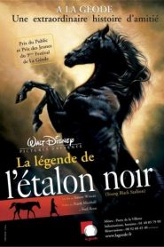 La légende de l&rsquo;étalon noir