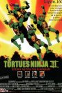 Les Tortues Ninja 3