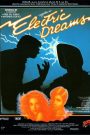 La belle et l&rsquo;ordinateur