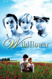 Wildflower