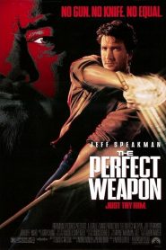 L&rsquo;Arme parfaite