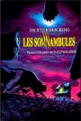 La Nuit déchirée