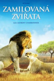 Les Animaux Amoureux