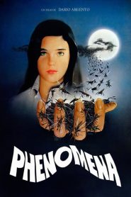 Phenomena
