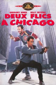 Deux flics à Chicago