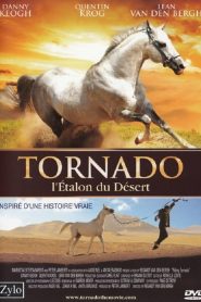 Tornado – L&rsquo;étalon du désert