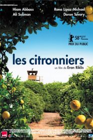 Les citronniers