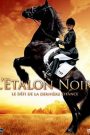 L&rsquo;étalon noir, le défi de la derniere chance