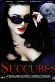Succubes