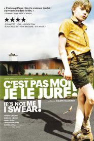 C&rsquo;est pas moi, je le jure!