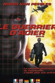 Le guerrier d&rsquo;acier