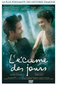L&rsquo;Écume des jours