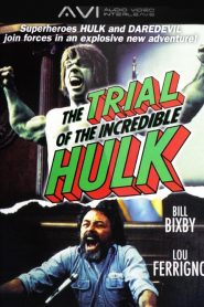 Le Procès de l&rsquo;incroyable Hulk