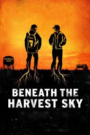 Beneath the Harvest Sky