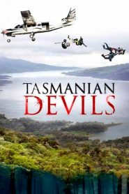 Tasmanian Devils
