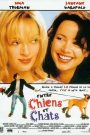 Entre chiens et chats