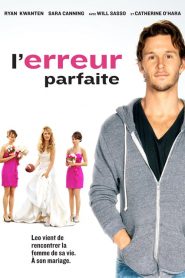 L&rsquo;erreur parfaite