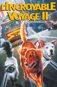 L&rsquo;incroyable Voyage à San Francisco