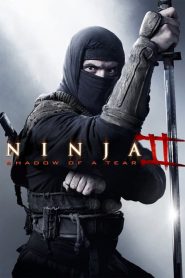 Ninja 2: Ombre d&rsquo;une déchirure