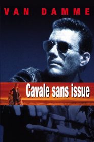 Cavale sans issue
