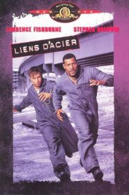 Liens d&rsquo;acier