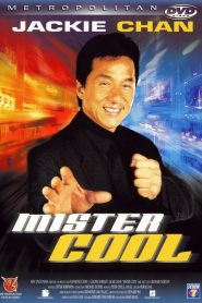 Mister Cool