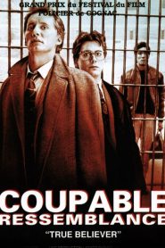 Coupable ressemblance