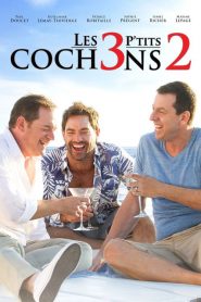 Les 3 p&rsquo;tits cochons 2