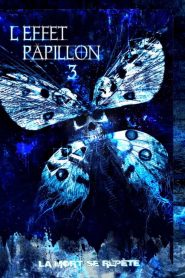 L&rsquo;Effet Papillon 3