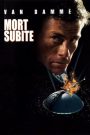 Mort subite