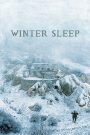 Winter sleep