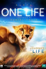 One Life