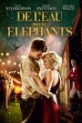 De l&rsquo;eau pour les éléphants