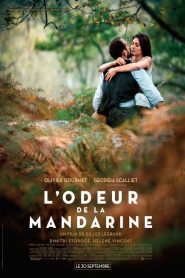 L&rsquo;odeur de la mandarine