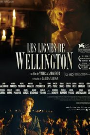 Les Lignes de Wellington