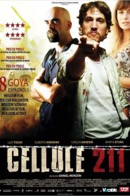 Cellule 211