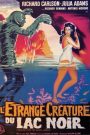 L&rsquo;étrange créature du lac noir