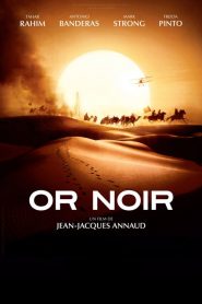 Or Noir