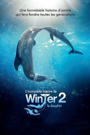 L&rsquo;incroyable histoire de Winter le dauphin 2