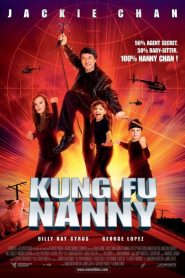Kung Fu Nanny