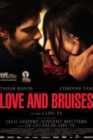 Love And Bruises