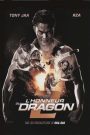 L&rsquo;Honneur du dragon 2