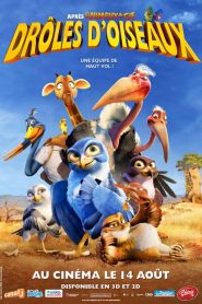 Drôles d&rsquo;oiseaux