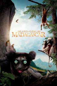 L&rsquo;île des lémuriens : Madagascar